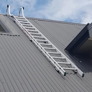 Extending Roof Ladder